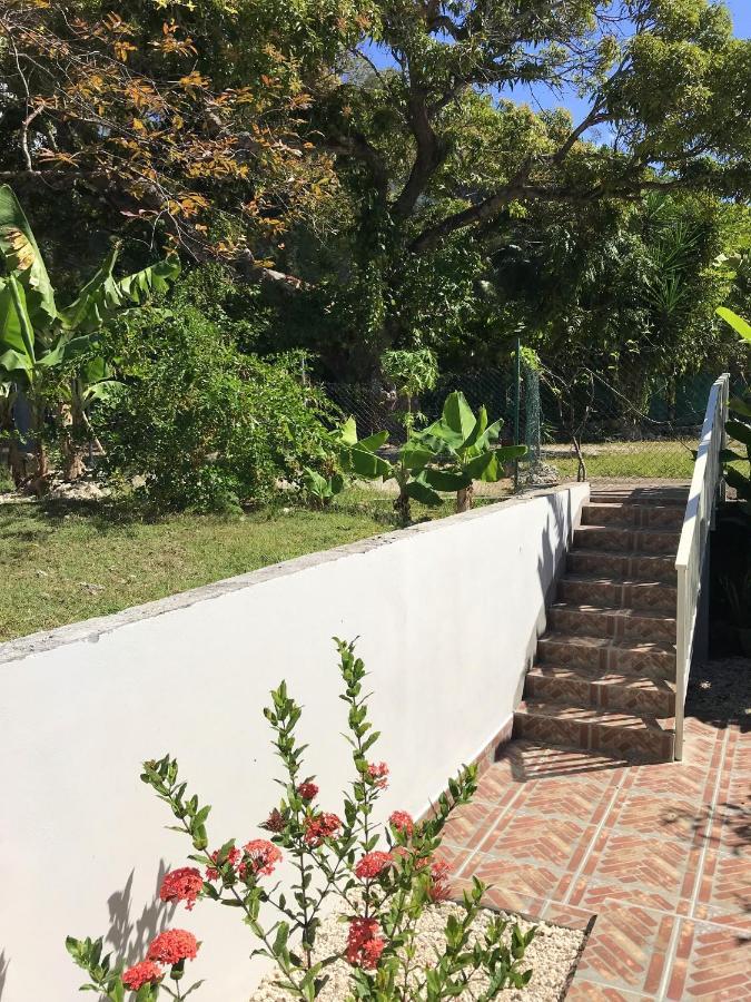 Maison Chaleureuse Au Gosier + Jardin * Le Gosier (Grande-Terre)